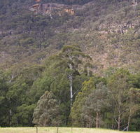 Bangadilly National Park - Accommodation Brisbane