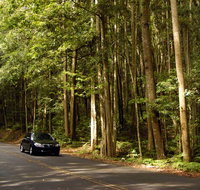 Greater Blue Mountains drive - Accommodation Brisbane