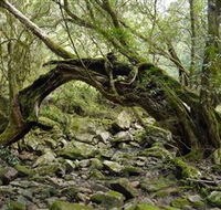 Mitchell River National Park - Accommodation Brisbane