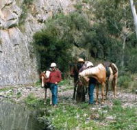 Yarramba Horse Riding - Accommodation Brisbane