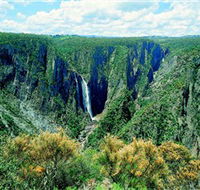 Wollomombi Falls - Accommodation Brisbane