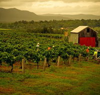 Around Hermitage Wine and Food Trail Hunter Valley - Accommodation Brisbane
