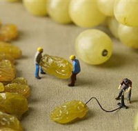 Hunter Valley Wine School - Accommodation Brisbane