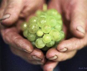Keith Tulloch Wine - Accommodation Brisbane 1