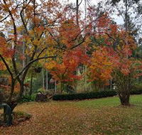 Bellbird Cottage - Accommodation Brisbane