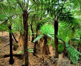 Naracoopa TAS Accommodation Brisbane