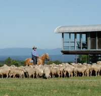 Tobruk Sydney - Accommodation Brisbane