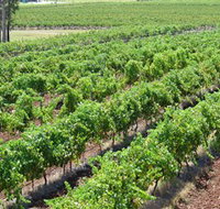 Pokolbin Brothers Wines Hunter Valley - Accommodation Brisbane