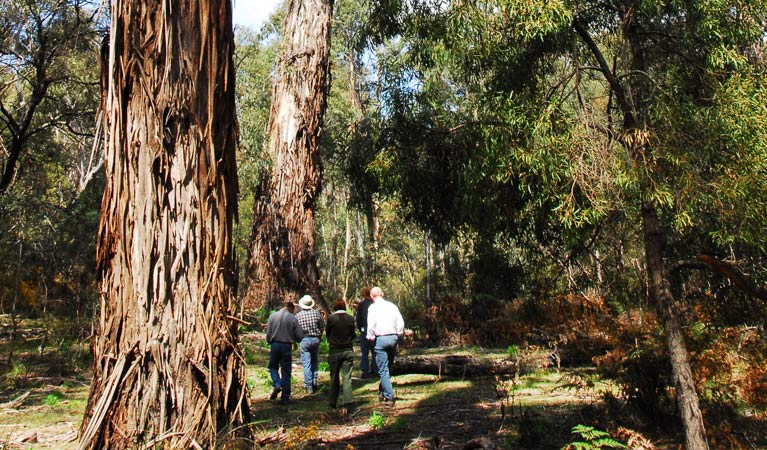 Araluen NSW Accommodation Brisbane