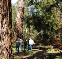 Tallaganda National Park - Accommodation Brisbane