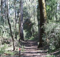 Box Vale Mine Walking Track and Lookout - Accommodation Brisbane