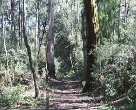 Box Vale Mine Walking Track And Lookout - Accommodation Brisbane 0