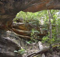 Cave Creek Walking Track - Accommodation Brisbane