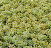 Normanby Wines - Accommodation Brisbane