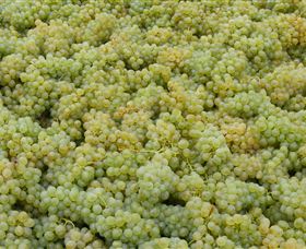 Normanby Wines - Accommodation Brisbane 0