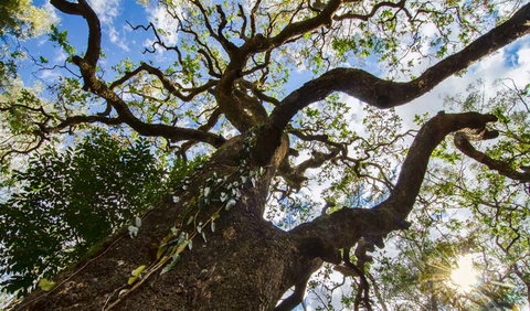 Woko National Park - Accommodation Brisbane 1