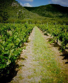 Gartelmann Wines - Accommodation Brisbane 0