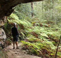 Dharug National Park - Accommodation Brisbane