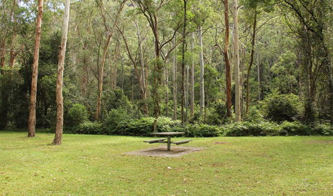 Dharug National Park - Accommodation Brisbane 3
