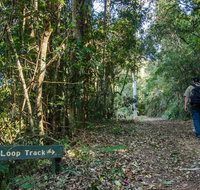 Basin Loop track - Accommodation Brisbane