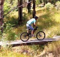 The Steps Mountain Bike Park - Accommodation Brisbane