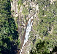 Carrai National Park - Accommodation Brisbane