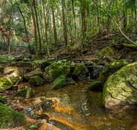 Palm Grove Nature Reserve - Accommodation Brisbane