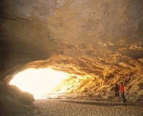 Stockyard Gully National Park - Accommodation Brisbane 1