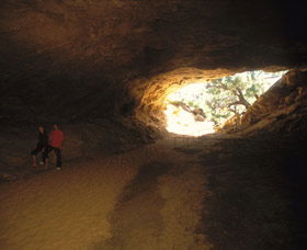 Stockyard Gully National Park - Accommodation Brisbane 3