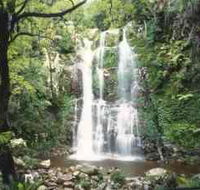 Budderoo National Park - The Falls Walk - Accommodation Brisbane