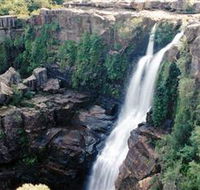 Minnamurra Rainforest Centre Budderoo National Park - Accommodation Brisbane