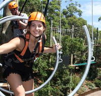 Wild Ropes at Taronga Zoo - Accommodation Brisbane