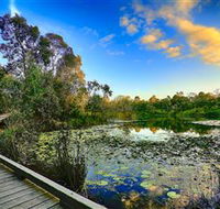 Berrinba Wetlands - Accommodation Brisbane