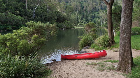 Nymboi-Binderay National Park - Accommodation Brisbane 1