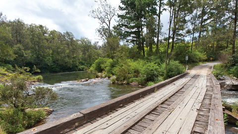 Nymboi-Binderay National Park - Accommodation Brisbane 2