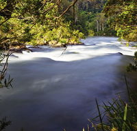 Nymboi-Binderay National Park - Accommodation Brisbane