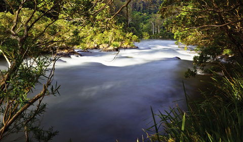 Nymboi-Binderay National Park - Accommodation Brisbane 0