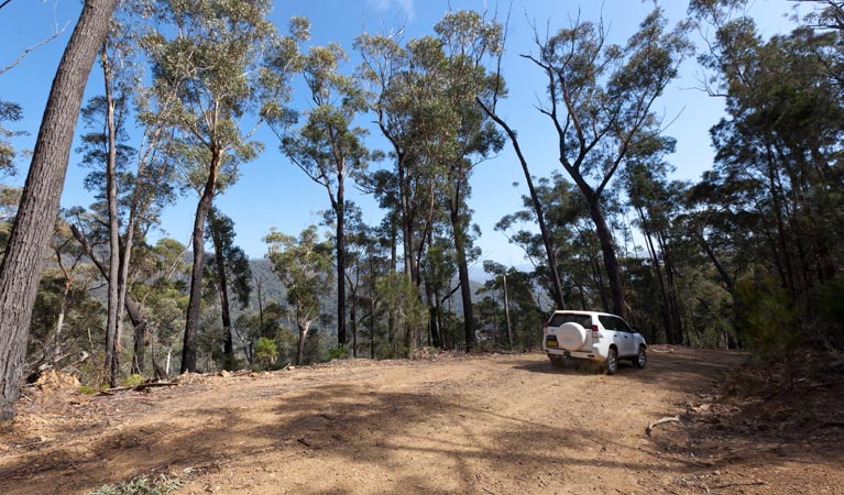 Wadbilliga NSW Accommodation Brisbane