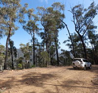 Wadbilliga Road drive - Accommodation Brisbane