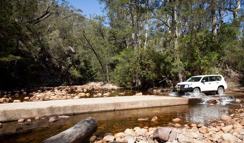 Wadbilliga Road Drive - Accommodation Brisbane 2