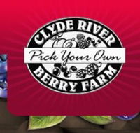 Clyde River Berry Farm - Accommodation Brisbane