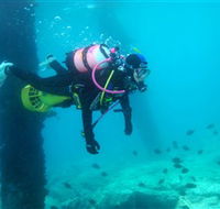 Shellharbour Scuba  Photography Centre - Accommodation Brisbane