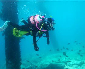Shellharbour Scuba & Photography Centre - Accommodation Brisbane 0