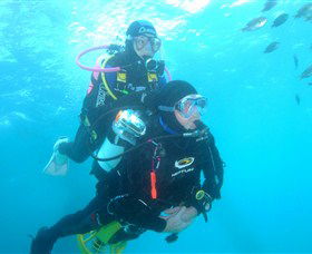Shellharbour Scuba & Photography Centre - Accommodation Brisbane 1
