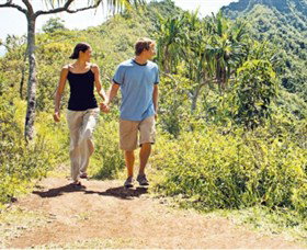 Hoddles Track - Accommodation Brisbane 0