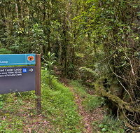 Red Cedar loop - Accommodation Brisbane