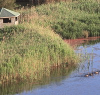 Spring Creek Bird Hide - Accommodation Brisbane