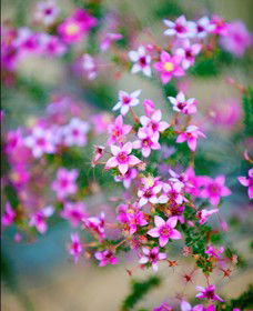 Kalbarri National Park - Accommodation Brisbane 2