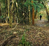 Sand track walk north - Accommodation Brisbane