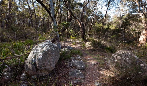 Wadbilliga National Park - Accommodation Brisbane 2